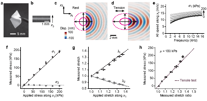 Non-destructive mapping of stress and strain in soft thin films through sound waves