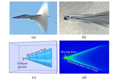 Elastic Cherenkov effects in transversely isotropic soft materials-I: Theoretical analysis, simulations and inverse method