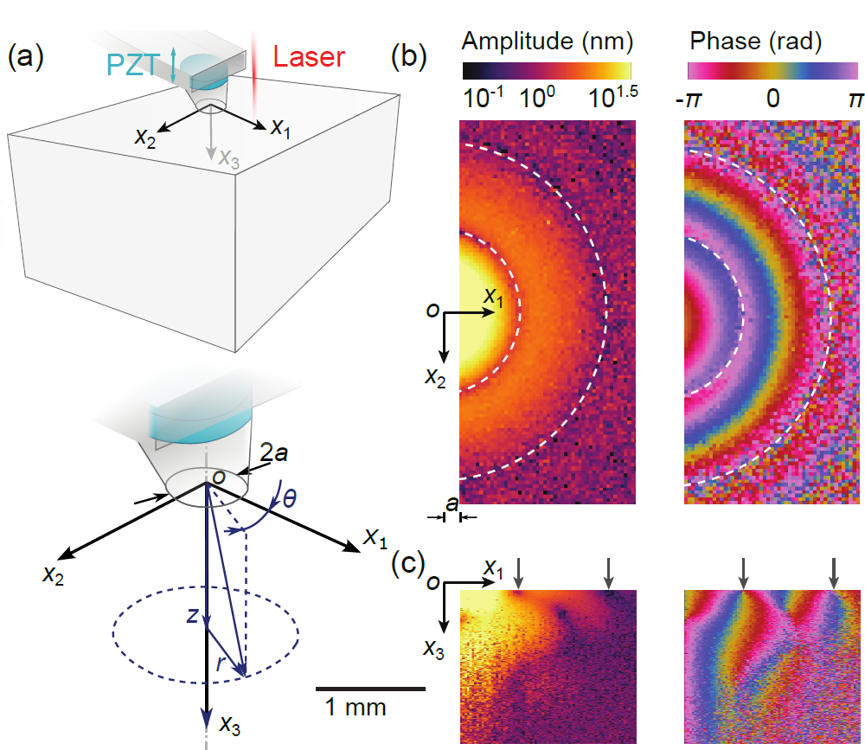 Supershear surface waves reveal prestress and anisotropy of soft materials