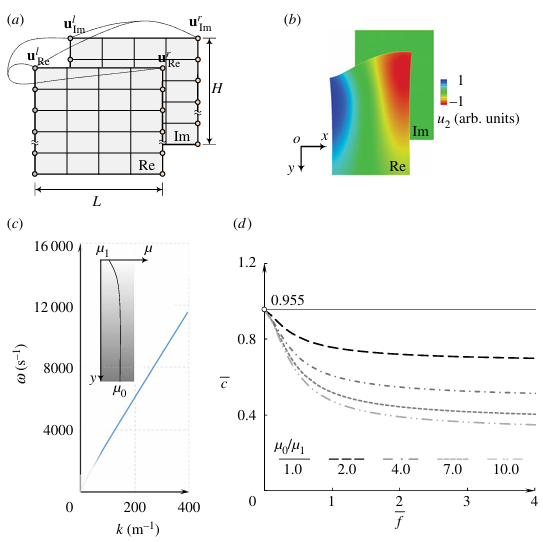 Mechanical characterization of functionally graded soft materials with ultrasound elastography